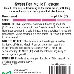 Sweet Pea ‘Mollie Rilestone'(Lathyrus) HA – Highly Scented
