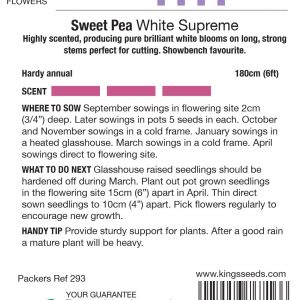 Sweet Pea Spencer ‘White Supreme’ (Lathyrus) – Highly Scented – HA