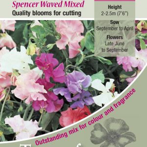 Sweet Pea Spencer Wave Mixed – HA