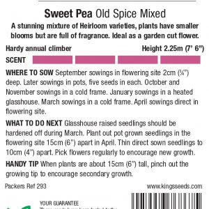 Sweet Pea ‘Old Spice Mixed'(Lathyrus) HA – Highly Scented