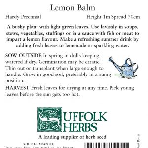 Herb – Lemon Balm (Melissa Officinalis)