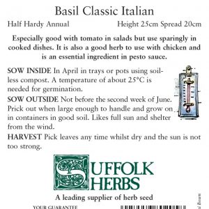 Herb – Classic Italian Basil (Annual) – Ocimum basilicum ‘Classic Italian’