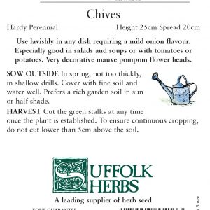 Herb – Chives (Perennial) – Allium schoenoparsum