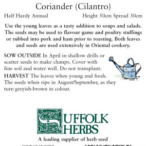 Herb – Coriander – (Coriandrum sativum)