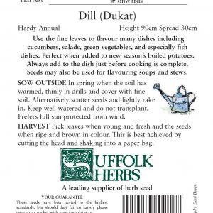 Herb – Dill (Annual) – (Anethum graveolens)