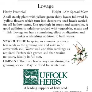 Herb – Lovage (Levistcum officinale)