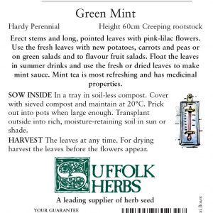 Herb – Green Mint (Perennial) – (Mentha viridis)