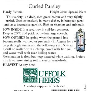 Parsley Curled (Petroselinum crispum)