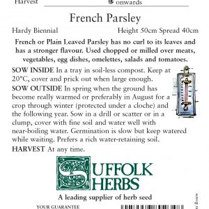 Parsley French – (Petroselinum crispum French)