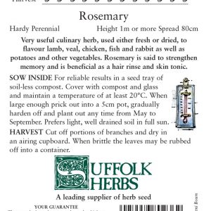 Herb – Rosemary (Rosmarinus officinalis