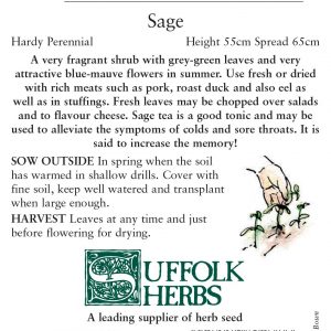 Herb – Sage (Salvia officinalis)