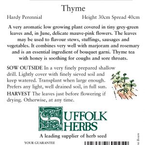 Herb – Thyme (Thymus vulgaris)