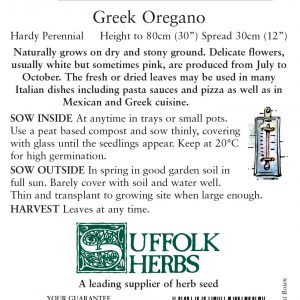 Herb – Oregano Greek (Oreganum vulgare)