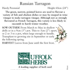 Herb – Russian Tarragon (Artemesia dracunculoides)