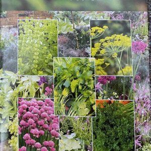 Windowsill Herb Collection