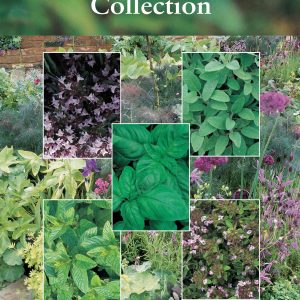 Culinary Favourites Herb Collection Pack