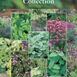 Herb Garden Collection Pack
