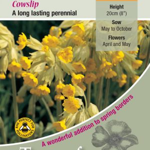 Wild Flower – Cowslip (Primula veris) – HP