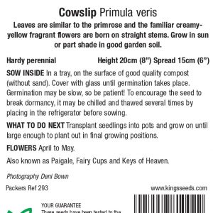 Wild Flower – Cowslip (Primula veris) – HP