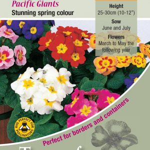 Polyanthus Pacific Giants F1 – HP