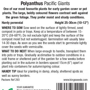 Polyanthus Pacific Giants F1 – HP