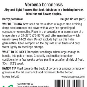 Verbena bonariensis – HP