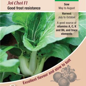 Pak Choi – Joi Choi F1