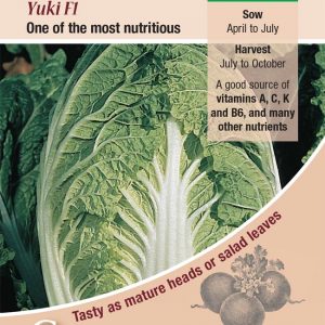 Cabbage – Chinese Yuki F1