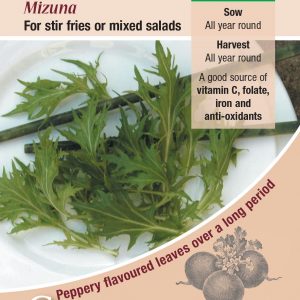 Japanese Green Mizuna