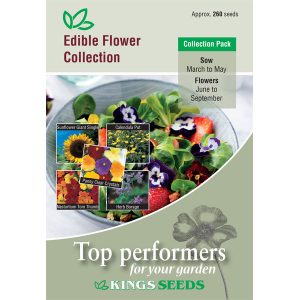 Salad Collection – Full Pack – Basic/Hot/Gourmet