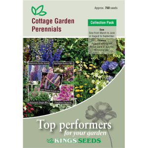 Cottage Garden Perennials Collection